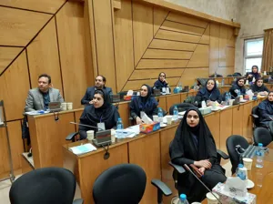 کارگاه سه روزه تریاژتلفنی قطب شمالغرب کشور در تبریز با معرفی نفرات برتر به کار خود پایان داد.