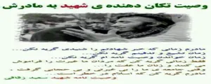 عکس روز