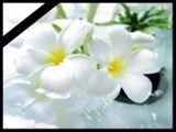 انا لله وانا الیه راجعون 