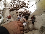 نجات جان کارگر 20 ساله