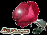 ولادت حضرت امام حسین (ع) و روز پاسدار  مبارک باد 